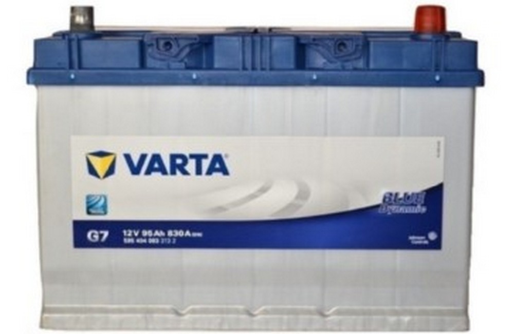 54481